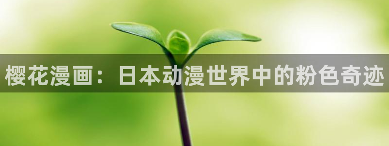里番动漫入口：樱花漫画：日本动漫世界中的粉色奇迹
