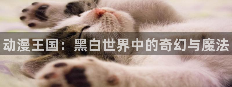 3d里番动漫网：动漫王国：黑白世界中的奇幻与魔法