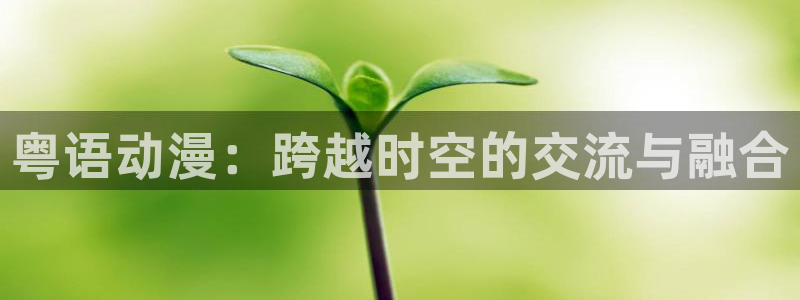 里番动漫网页入口：粤语动漫：跨越时空的交流与融合