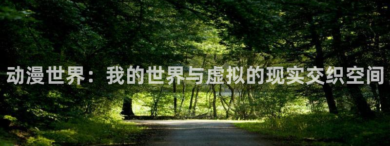 ova里番动漫：动漫世界：我的世界与虚拟的现实交织空间