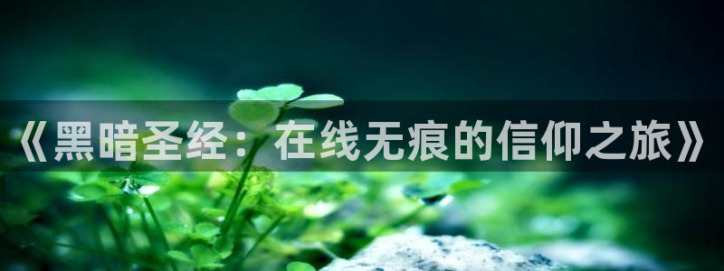 牛头人里番动漫：《黑暗圣经：在线无痕的信仰之旅》